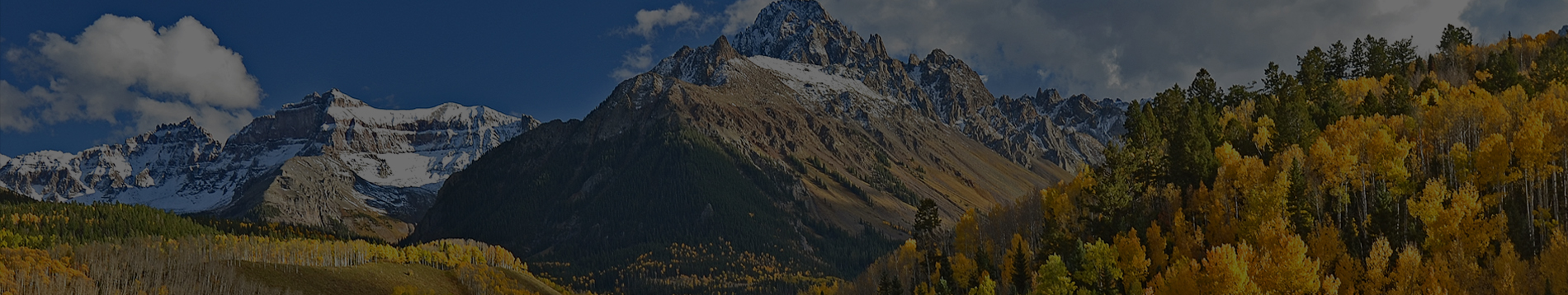 home-banner