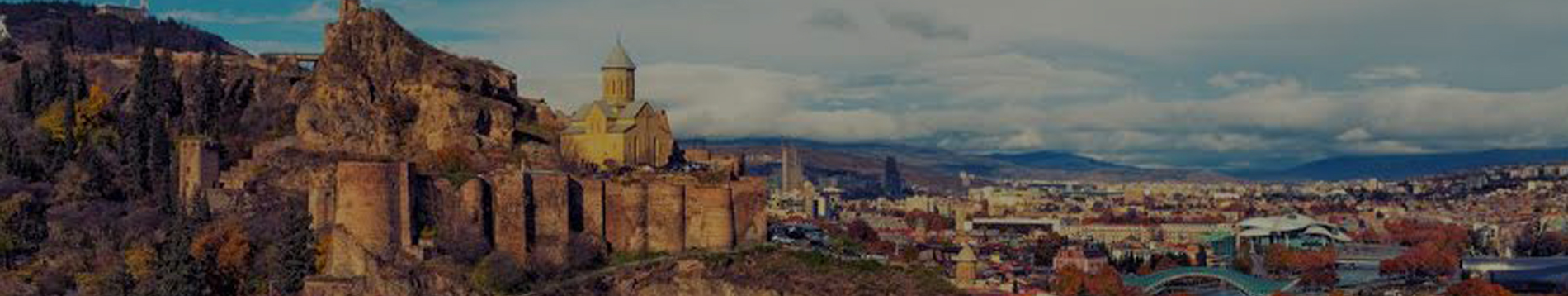 home-banner