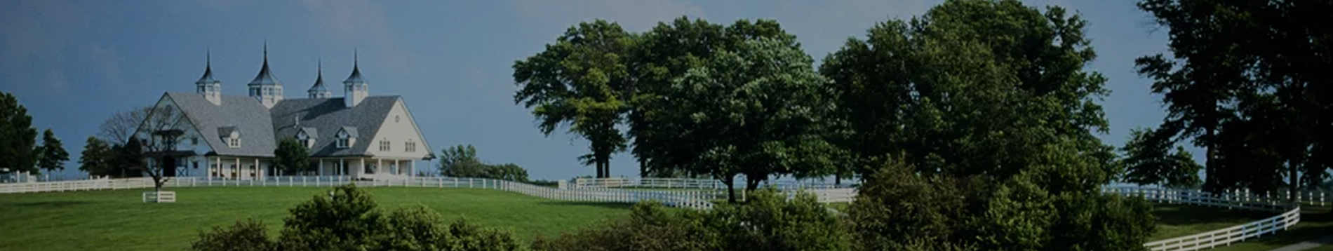 home-banner