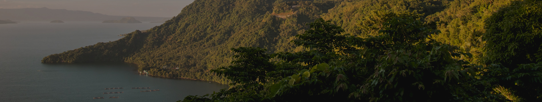 home-banner