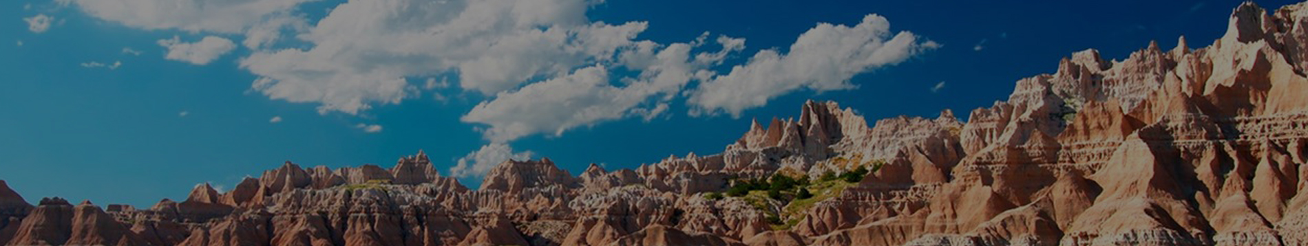 home-banner
