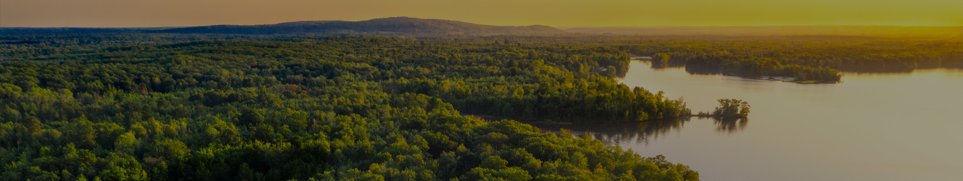 home-banner