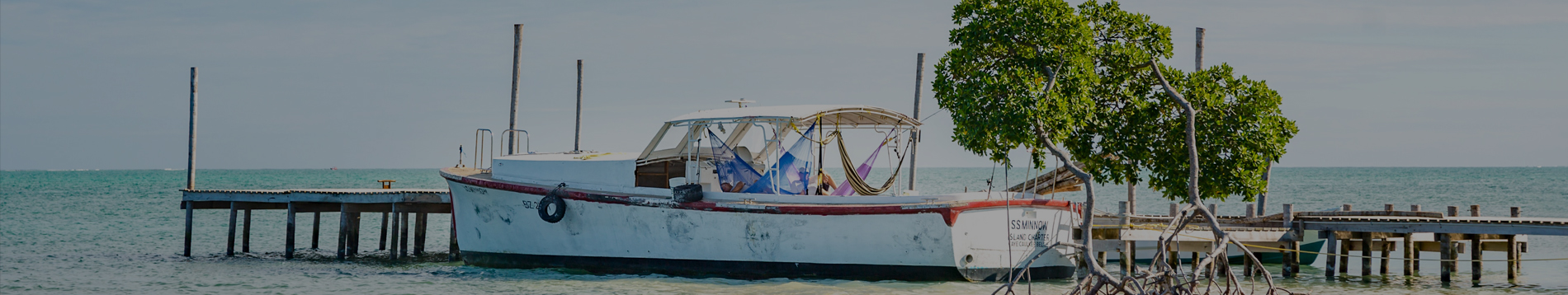 home-banner